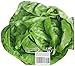 Salads: 50 Easy Recipes