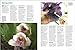 Complete Guide to Orchids