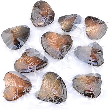 10 Pcs Freshwater Cultured Pearl Oyster Oval Beads with White/Pink/Purple, Birthday Gifts(7-8mm)