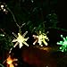 Lyhope 20 LED Battery String Starburst Lights, Multicolor