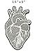 Heart Patch