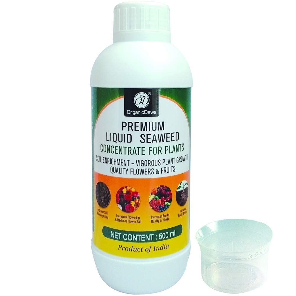 Buy OrganicDews Liquid Seaweed Concentrate for Plants 500 ml with