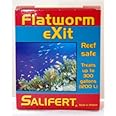 Flatworm Exit