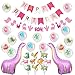 Dinosaur Party Decorations for Pink Dinosaur Balloons Garland Happy Birthday Banner for Baby 1st Birthday Baby Shower Decorations
