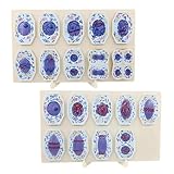 HEQIM Animal and Plant Cell Mitosis and Meiosis