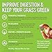 Grass Saver for Dogs - 120 Grain-Free Chews - Dog Urine Neutralizer for Grass Burn Spots, Dog Pee Lawn Repair + Chewable Probiotics for Dogs, Digestive Enzymes, DL Methionine, Apple Cider Vinegar, USA