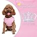 EXPAWLORER Princess Fashion Pet T-Shirt Small Dog Cat Vest Clothes Puppy Costumes for Chihuahua Yorkshire Terrier Pink S