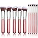 Qivange Kabuki Makeup Brushes, Premium Foundation Eyeshadow Powder Brushes(10pcs, Pink with Silver) 