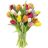 KaBloom-30 Assorted Tulip Bouquet,Flowers for Valentine, Mother's Day