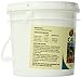 Zoo Med Repti Calcium Without D3 (48 oz)