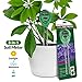 Soil pH Meter, 3-in-1 Soil Test Kit For Moisture, Light & pH, A Must Have For Home And Garden, Lawn, Farm, Plants, Herbs & Gardening Tools, Indoor/Outdoors Plant Care Soil Tester (No Battery Needed)thumb 2