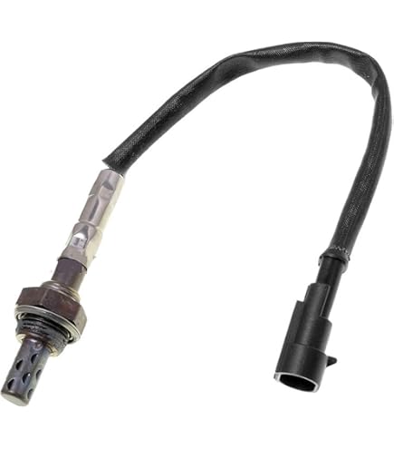 レオン 71ArHFMbqAL._AC_SY200_QL15_.jpg