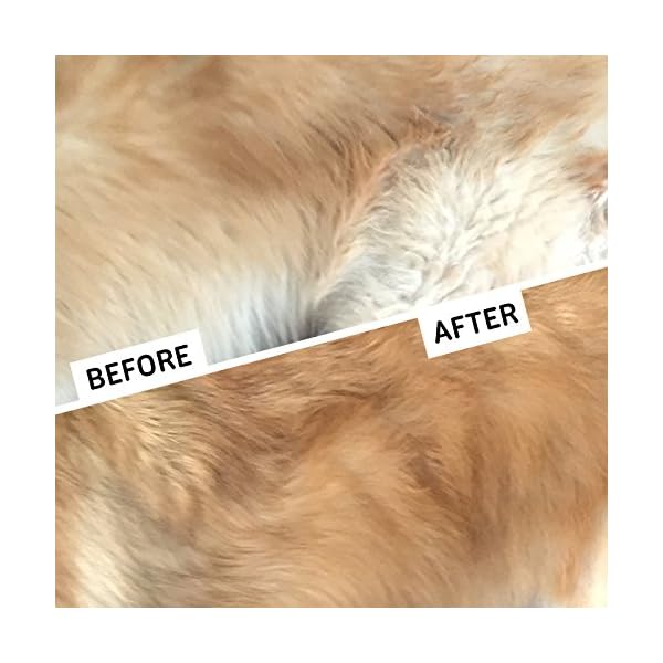 gopets dematting comb