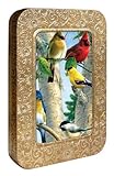 Tree-Free Greetings Noteables Notecards In Reusable Embossed Tin, 12 Card Assortment, Recycled, 4 x 6 Inches, Favorite Songbirds, Multi Color (76025)