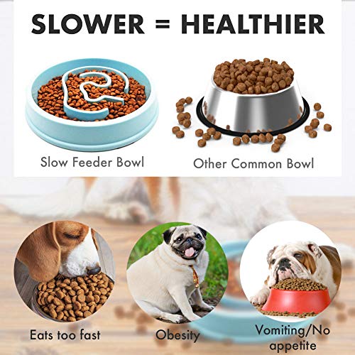 QuetZYan Slow Eating Pet Bowl Slow Maze Bowl Bloat Stop Dog Bowl Slow