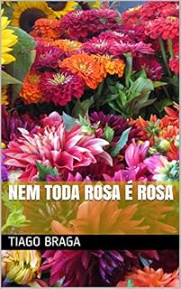 Livro Nem toda Rosa é Rosa