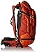 Dakine Heli Pro DLX Backpack