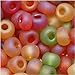 Czech Seed Beads 6/0 'Fall Harvest' Mix Green Red Orange (1 Ounce)