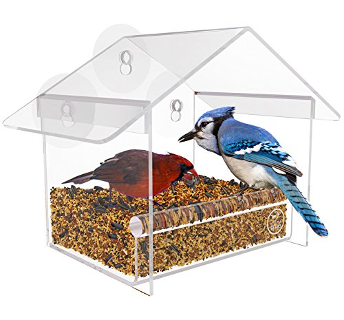 Window Bird Feeder By Yellow Beaks The Best Clear Acrylic