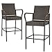 Best Choice Products Set of 2 Weather-Resistant Indoor Outdoor Wicker Barstool Furniture Bar Stools, Brown primary