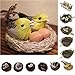Jili Online 12Pieces Cute Small Artificial Feather Bird Foam Birds Photo Props Home Table Garden Bonsai Decor