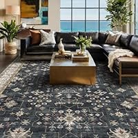 Black Farmhouse Washable 8x10 Area Rugs for Living Room, Bedroom, Dining Room Kitchen Table Rug for Under Table, Office, Dark Charcoal Tumble Stain Resistant Non-Slip Large Washable (8x10 Black/Multi)