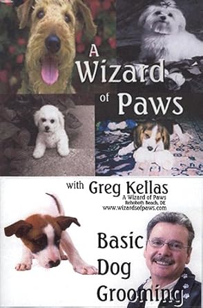 all paws dog grooming