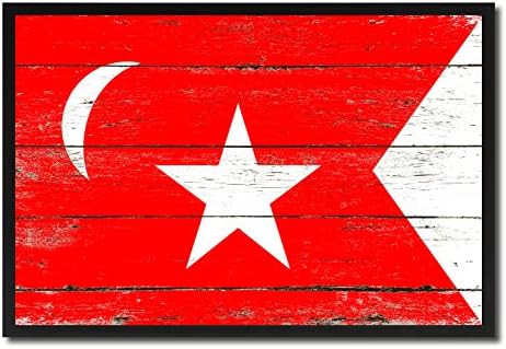 South Carolina Secession US Historical Civil War Military Flag Vintage Canvas Print Picture Frame Home Decor Man Cave Wall Art Collection Gift Ideas