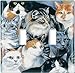 Art Plates - Just Cats! Switch Plate - Single Toggle