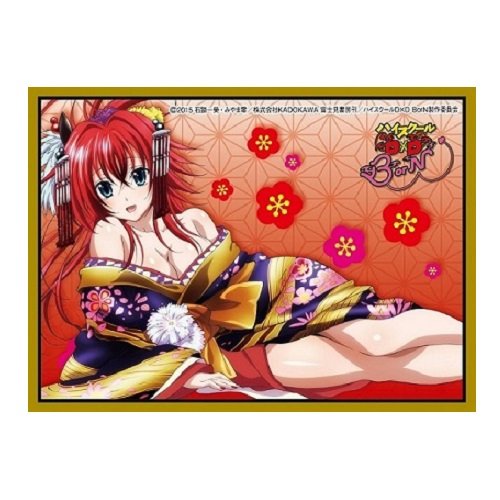 High School DxD BorN Rias Gremory Card Game Character Sleeve Collection Mat Series No.MT210 Anime Girl Japan Import by Movic