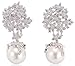 Long Chandelier Large Imitation Pearl Fashion Designer Classic Statement Long Dangle Drop Earrings Jewelry for Women Gift