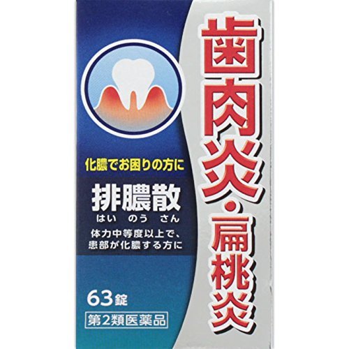 【第2類医薬品】排膿散エキス錠J 63錠商品画像