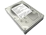 Hitachi Ultrastar A7K2000 2TB 3Gb/s SATA 7200RPM 32MB Internal HDD Hard Drive (Renewed)
