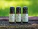 Basil Essential Oil - 100% Pure Therapeutic Grade Basil Oil by Natural Acres - 10ml