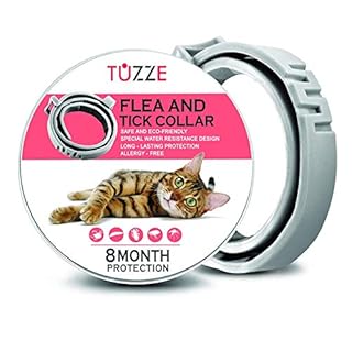 mini goldendoodle mix