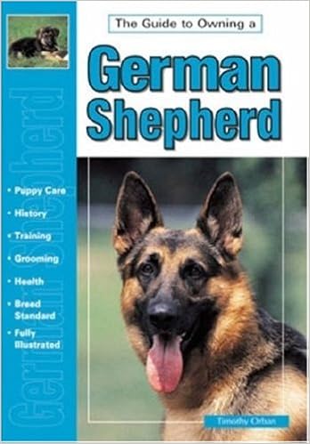 german shepherd care guide