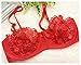 Sexy Womens Bra Lace Embroidered Female Lingerie Bralette Size 32-44 A B C D Cup