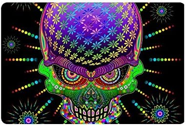 Custom Crazy Skull Psychedelic Explosion Doormat Entrance Mat Floor Mat Rug Mats Rubber Non Slip 23.6"(L) x 15.7"(W)