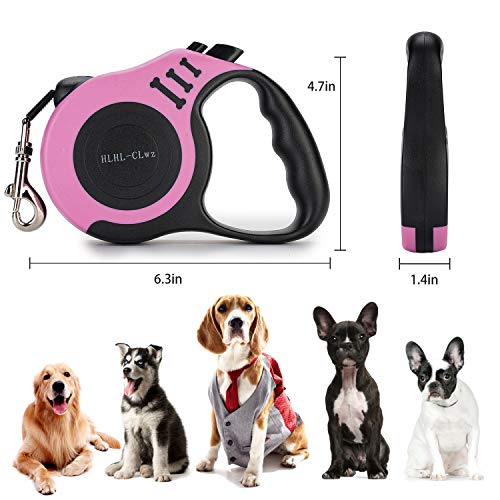 non retractable leash