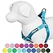 Blueberry Pet Essentials Step-in Dog Harness, Medium Size | Adjustable Turquoise Vest | Classic Solid Nylon for Boy & Girl Dogs, Chest Girth 20