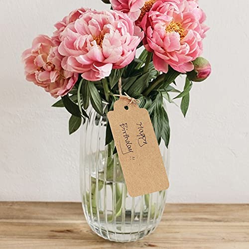 SallyFashion Kraft Paper Tags, 100 PCS Brown Kraft Paper Gift Tags Craft Hang Tags with Free 100 Root Natural Jute Twine for Gifts Arts and Crafts Wedding Holiday