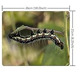 Mouse Pad Rectangle Mouse Pad Arcte Coerula Larva