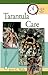 Quick & Easy Tarantula Care by 