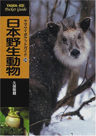 Amazon Co Jp 日本野生動物 ヤマケイポケットガイド 24 久保 敬親 Japanese Books