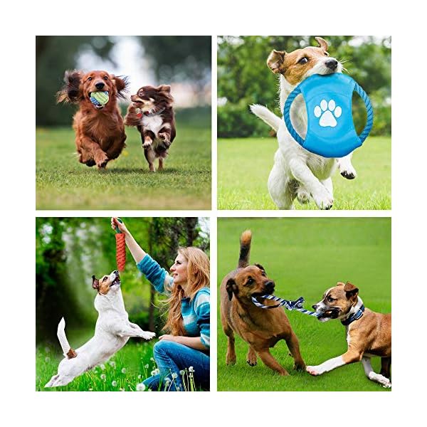 WeFine-Puppy-Dog-Chew-Toys-Teething-Training10pcs-Dog-Rope-Toys-100-Natural-Cotton-Rope-for-Small-and-Medium-Dog WeFine Puppy Dog Chew Toys Teething Training, 10pcs Dog Rope Toys 100% Natural Cotton Rope for Small and Medium Dog