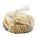 Sea Shells In Net Bag - Natural