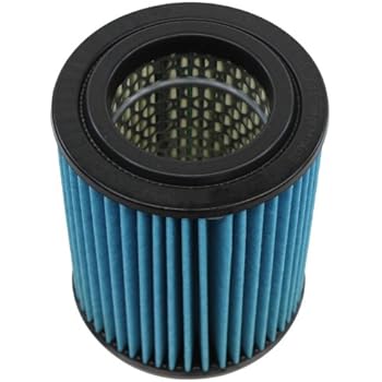 Genuine Honda Parts 17220-PNB-003 Air Filter for Honda Civic and Element