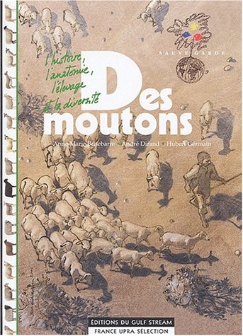 Des  moutons