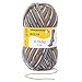 Regia 9801629 08078 Hand Knitting Yarn Wool, Iceland, 18 x 9 x 9 cm, Wool, eiszapfen, 16 x 9 x 9 cm