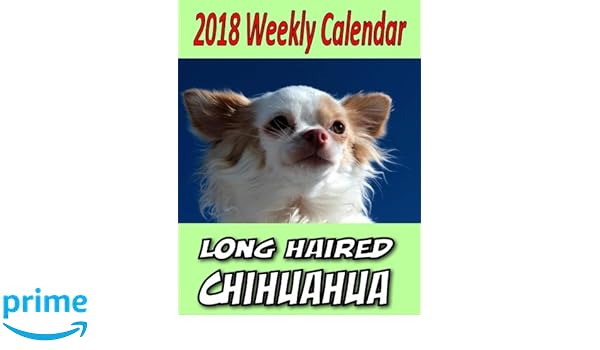 2018 Weekly Calendar Longhaired Chihuahua Puppy Times